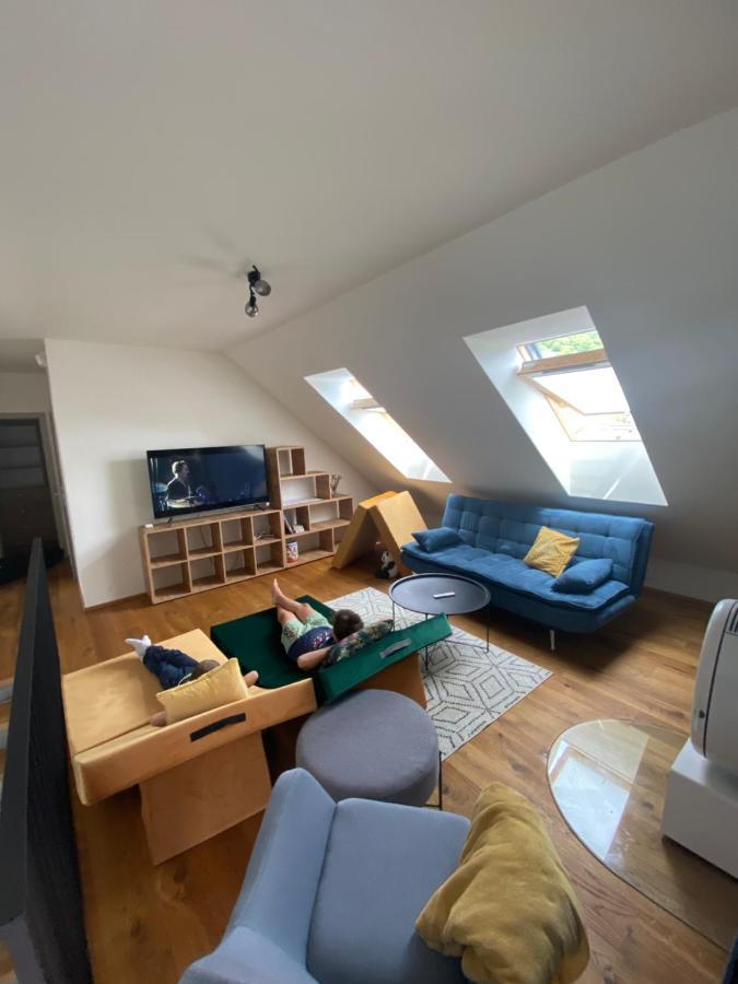 Superb Myto Apartment Mýto pod Ďumbierom 外观 照片