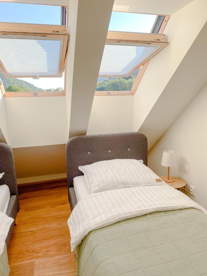 Superb Myto Apartment Mýto pod Ďumbierom 外观 照片